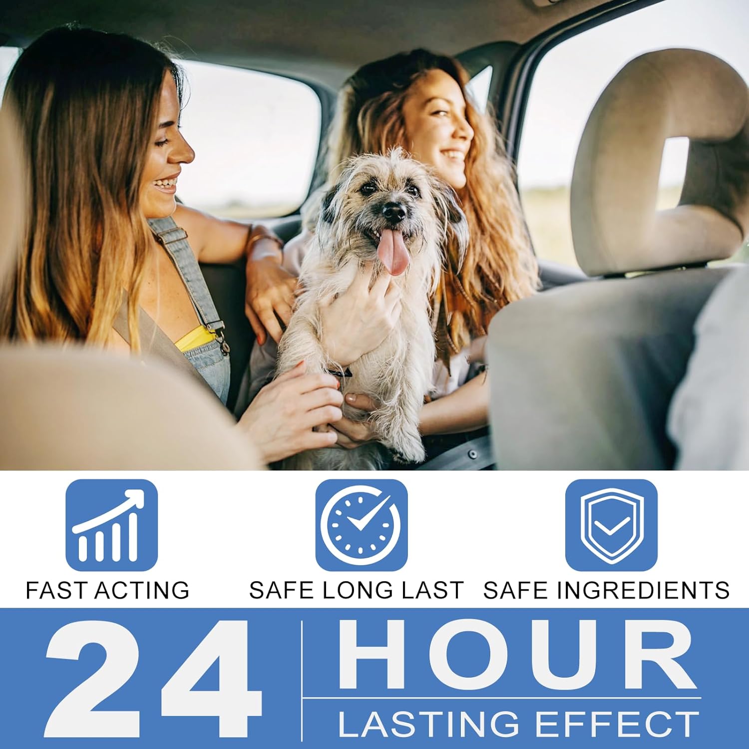 Anti Car Sickness for Dogs (26-75 lbs), 20 Tablets, Dog Motion Sickness Medicine to Relieve Nausea, Vomiting, Drooling, Working Quickly Motion Sickness for Dogs, Effective for About 24 Hours - Image 2
