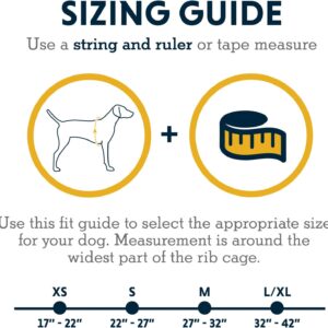 Ruffwear, Front Range Dog Day Pack, Backpack with Handle for Hikes & Day Trips, River Rock Green, Medium