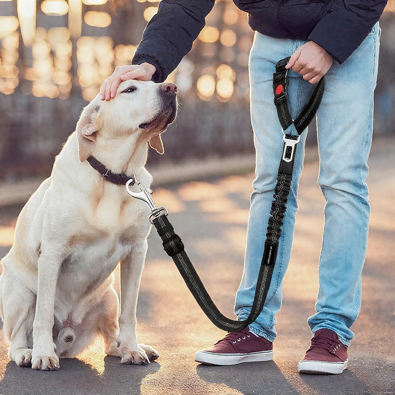 Dog Car Seat Belt - Adjustable Pet Safety Harness, Crash Tested Vehicle Restraint for Small Medium Large Dogs, Vehicle Seatbelt Clip & Tangle-Free Design for Safe Travel (Blue+Black) - Image 9