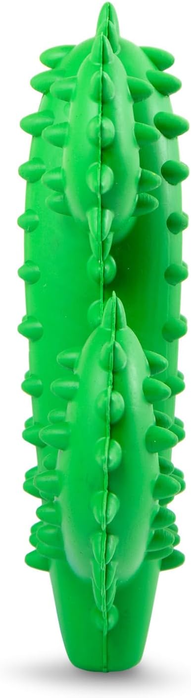 Jeffers Pet Natural Rubber Dog Chew Toy – Green Dental Cactus, Medium – Vanilla Scent, Durable, Non-Toxic, Dishwasher Safe, Interactive Fetch, Tug Toy & Dental Play - Perfect for Training - Image 8