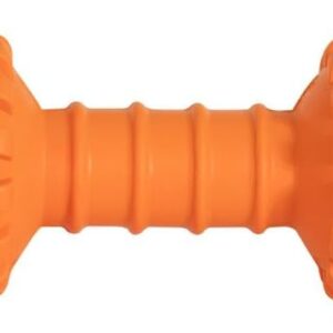 JW Pet Chompion Heavyweight Dog Chew Toy for Small Breeds, Assorted Colors