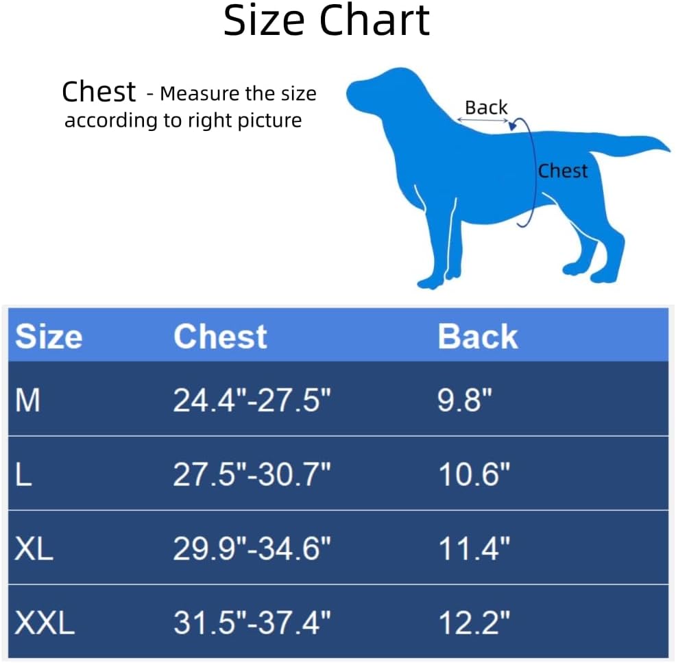 Dog Reflective Safety Vest High Visibility with Buckle for Walking Running Hiking to Keep Dogs Visible Safe from Cars and Hunting Accidents Orange L - Image 2