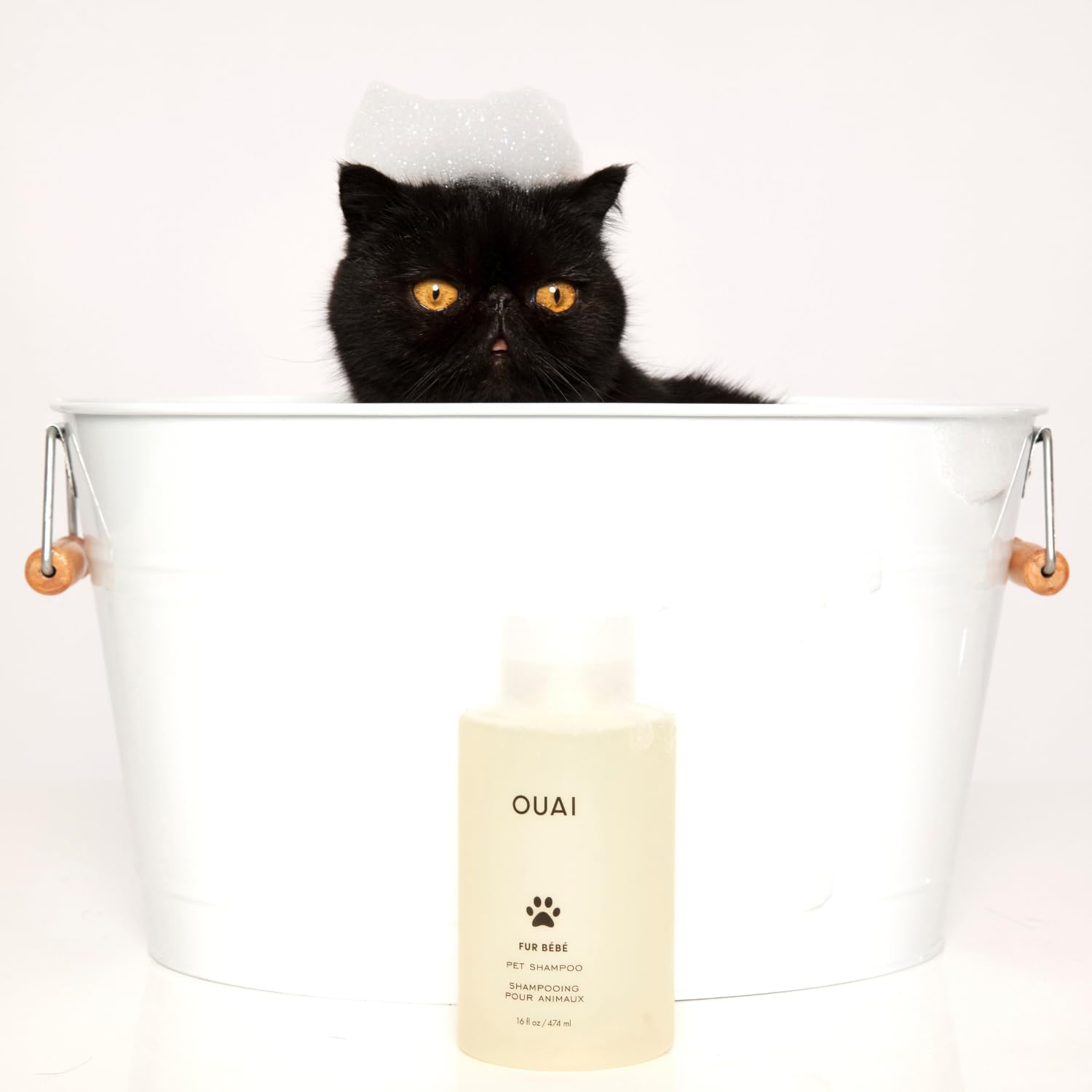 OUAI Fur Bébé Pet Shampoo, Mercer Street Scent - Dog Shampoo and Coat Wash for Hydrating, Cleansing and Adding Shine - Pet Supplies by OUAI (16 Fl Oz) - Image 7