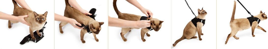 Metal Free Leash Harness Designed for Small Pets who fit underseat of Airplane (M2) - Image 2