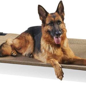 Coolaroo Pro Elevated Dog Bed – Low-Profile Access, Moisture-Resistant Cover, Breathable Fabric & Tool-Free Setup, Nutmeg, Standard