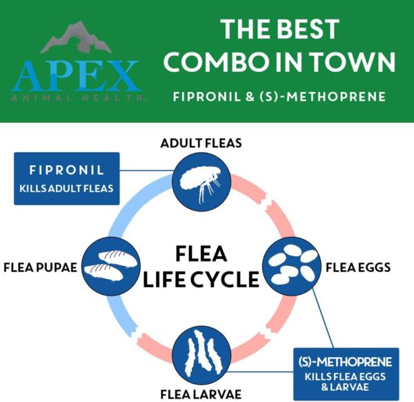 Apex Plus Flea Treatment for Cats, 1.5+ lbs | 3-Month Supply | Cat Flea and Tick Treatment Drops | 24-Hour Activation, Waterproof, 30-Day Protection - Image 4
