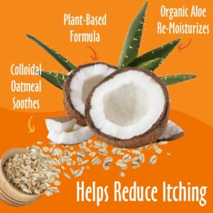 earthbath, Oatmeal & Aloe Dog Shampoo – Oatmeal Shampoo for Dogs, Itchy, Dry Skin Relief, Dog Wash, Made in USA, Cruelty Free Pet Shampoos – Vanilla & Almond, 16 Oz (1 Pack)