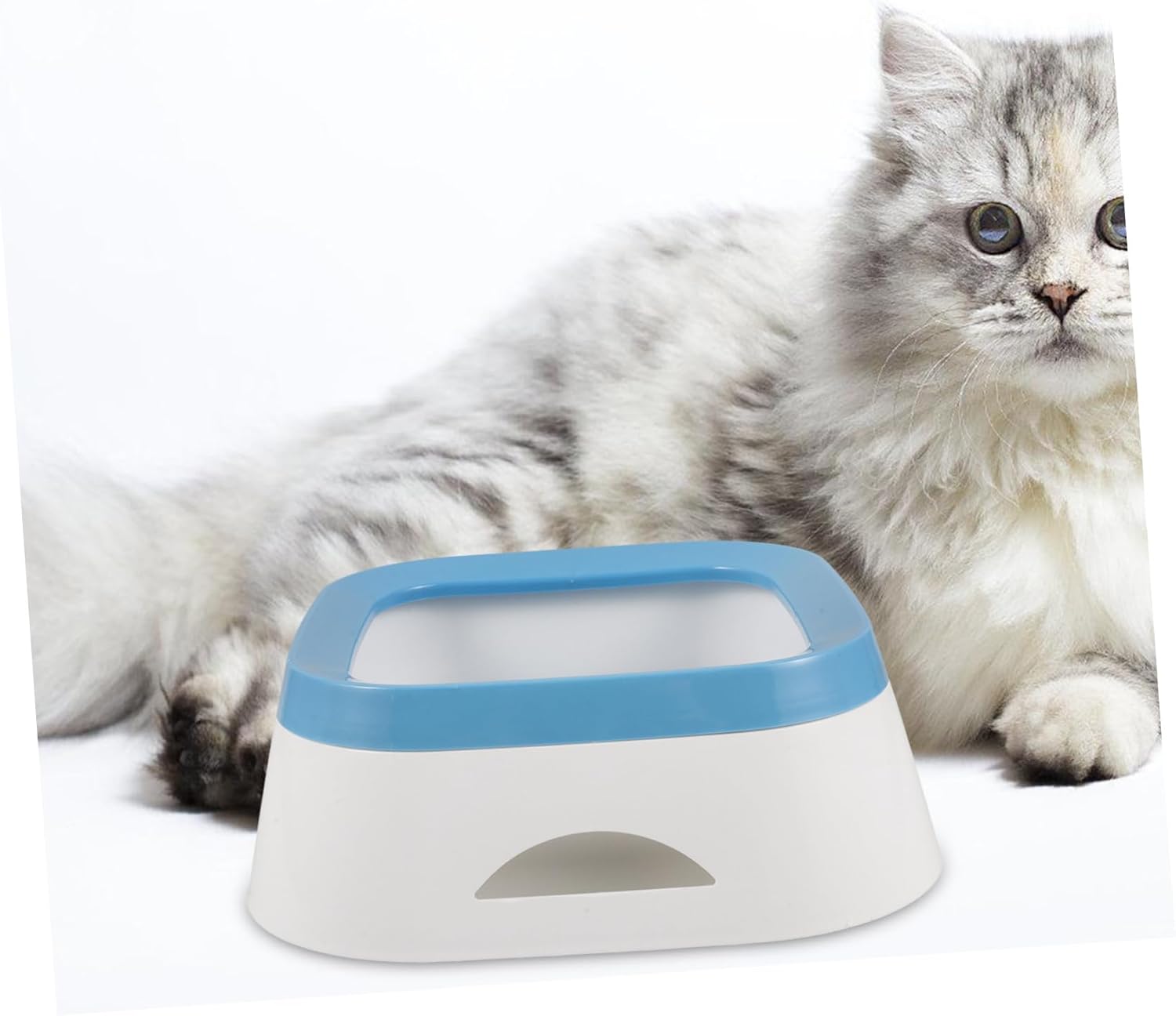 Totority Dog Water Bowl Floating Disk Spill Design for Cats and Dogs Portable Pet Feeder for Travel Safe and Plastic Material for Home and Outdoor Use - Image 4