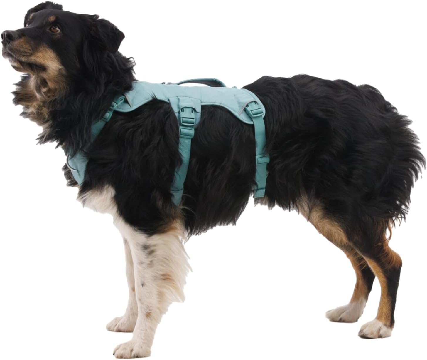 Ruffwear, Web Master, Multi-Use Support Dog Harness, Hiking and Trail Running, Service and Working, Everyday Wear, River Rock Green, Large/X-Large - Image 4