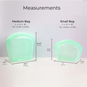 MODERN-X SnapPack Premium Silicone Reusable Pet Storage Stand-Up Bags, Pet Duo Set, Microwave, Dishwasher, Oven and Freezer Safe, BPA Free, Leak-free, and Eco-friendly |1000ml & 2000ml Set (Teal)