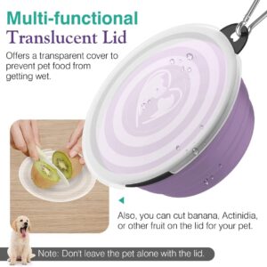 Pawaboo Collapsible Dog Bowls 2 Pack, Silicone Feeding Watering Bowls with Lids & Carabiners for Dogs Cats, Portable Collapsable Water Feeder Food Bowl for Walking Traveling Home Use, VioletTurquoise