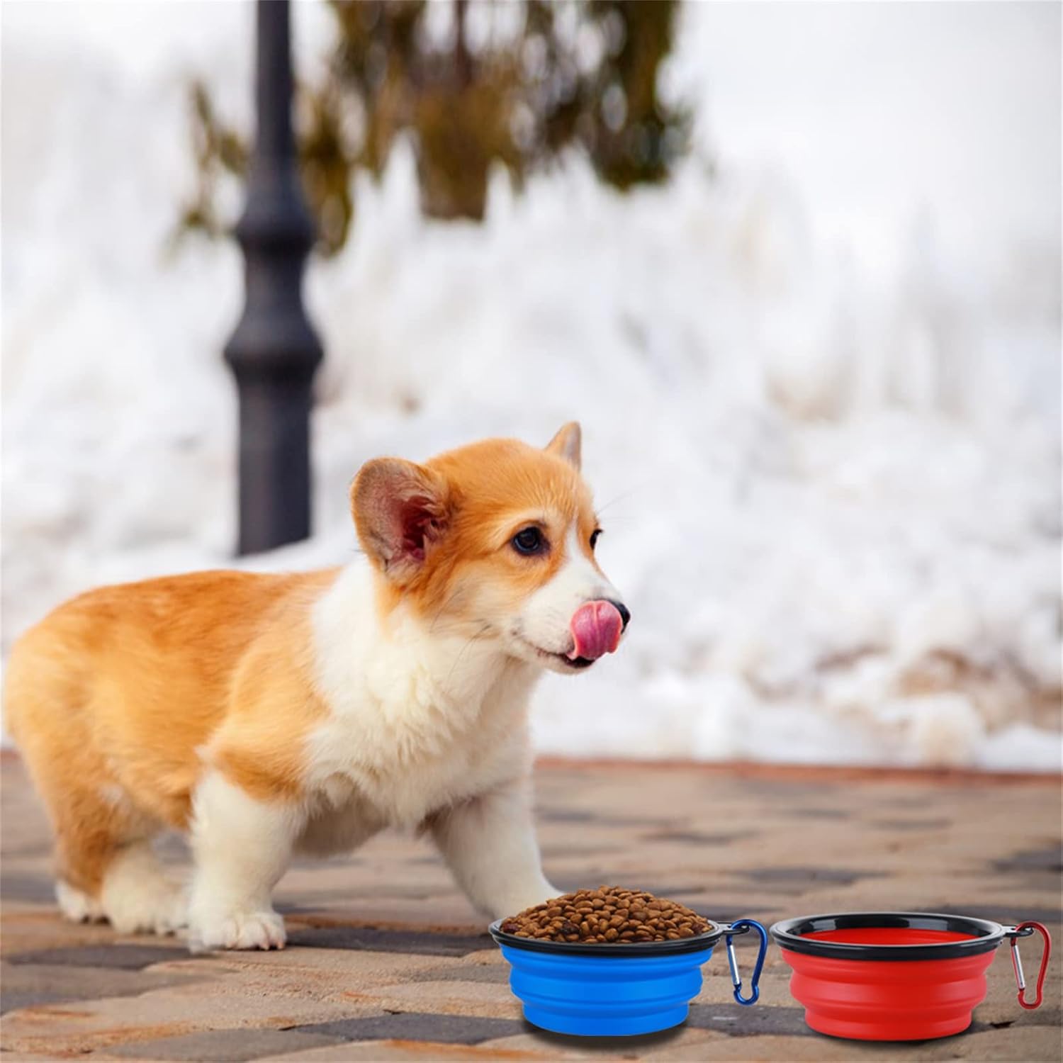Collapsible Dog Bowl,2 Pack Portable and Foldable Pet Travel Bowls Collapsable Dog Water Feeding Bowls Dish for Dogs Cats and Small Animals,with Lids (Small, Blue+Red) - Image 5