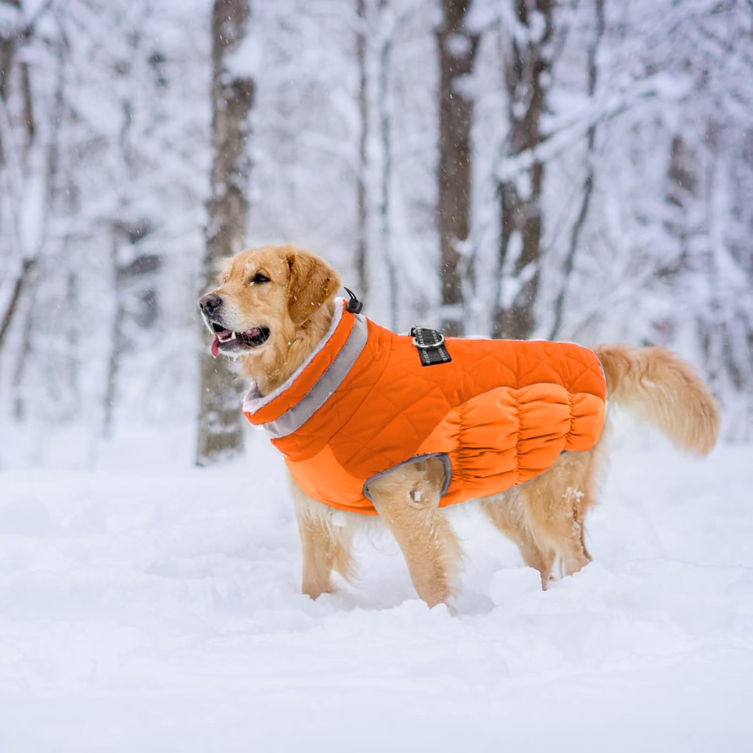 Lelepet Dog Coat with Harness Built in, Waterproof, Windproof, Reflective, Fleece Vest with Turtleneck & Zipper - Coats for Medium Dogs in Cold Weather, Blaze Orange, M - Image 6