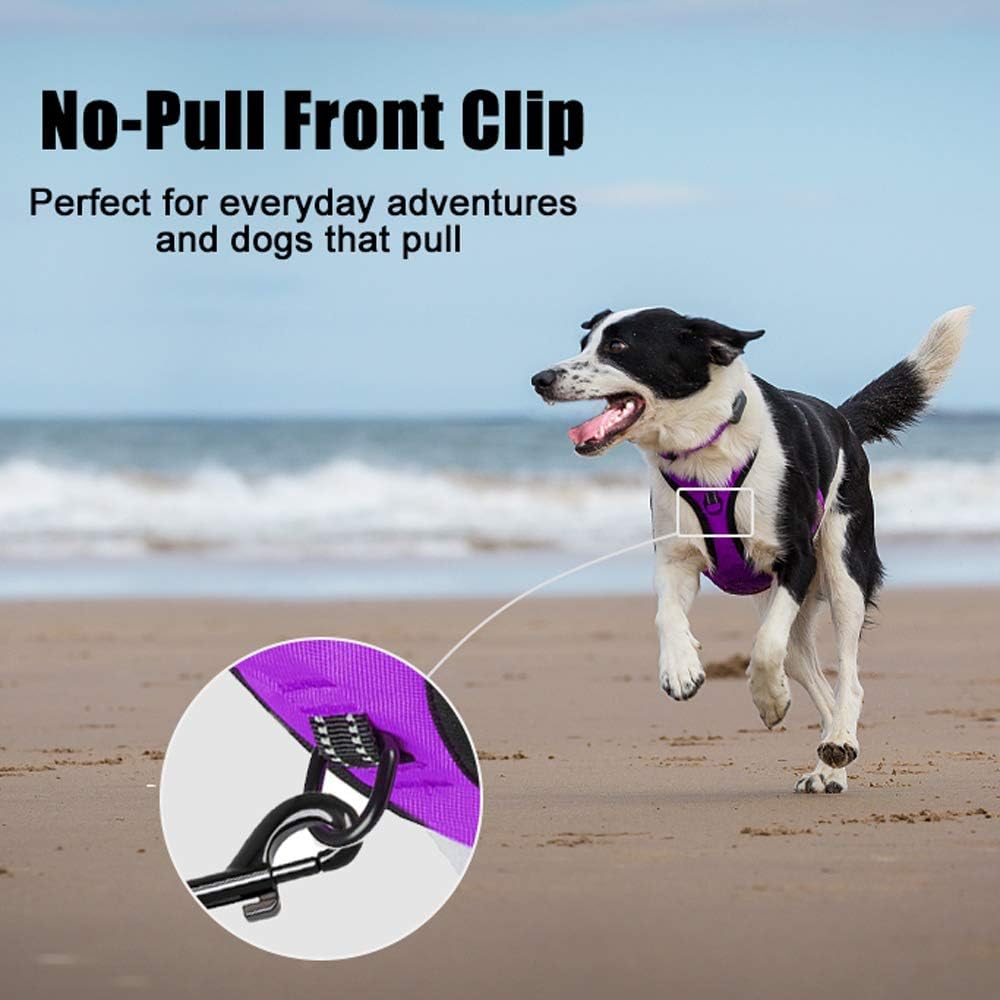 PoyPet No Pull Dog Harness, Reflective Comfortable Vest Harness with Front & Back 2 Leash Attachments and Easy Control Handle Adjustable Soft Padded Pet Vest for Small to Large Dogs (Purple,L) - Image 3