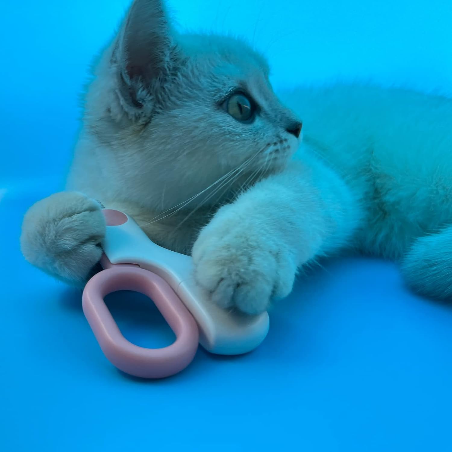 Small Animals Nail Clippers with LED Lights to Avoid Excessive Cutting and Razor Sharp Blades - Professional Claw Trimmer for Tiny Dog Cat Kitten Bunny Rabbit Bird Guinea Pigs Ferret Hamsters (Blue) - Image 3