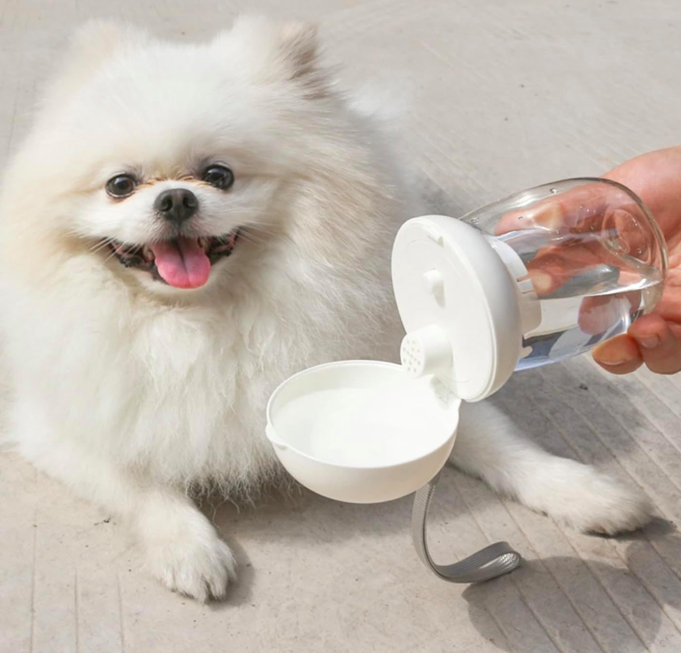 Generic Mini portable outdoor travel water bottle dispenser for dogs and cats - Leak proof and lightweight - Perfect for walking hiking travelling (White, Standard) - Image 3