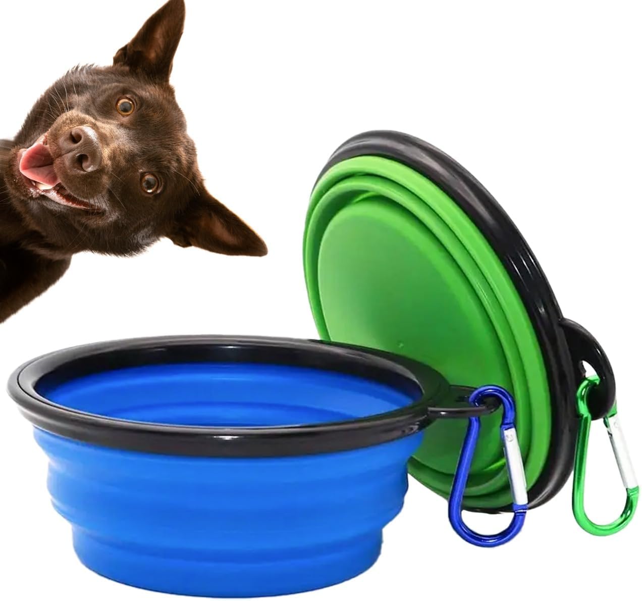 Collapsible Dog Bowls for Travel, 2-Pack Portable Food and Water Bowls for Dogs and Cats with Carabiners, Lightweight, Foldable Pet Dishes for Hiking, Camping, Walking, and Outdoor Adventures - Image 6