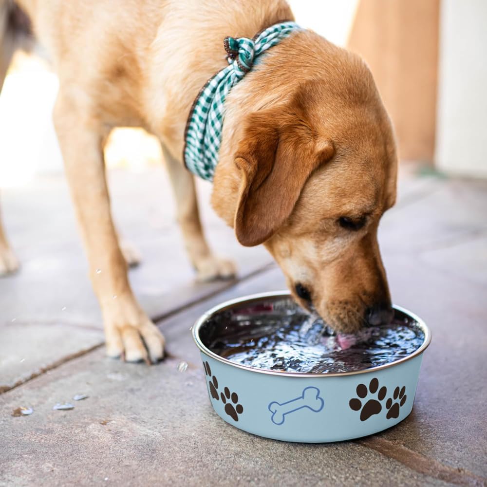 Loving Pets Bella Dog Bowls- Stainless Steel Dog & Cat Bowls - Spill Proof Dog Food Bowl, Cat Bowl, Puppy Essentials & Pet Supplies Great for Home & Travel (Medium 20-25 lbs, Murano Blue) - Image 6