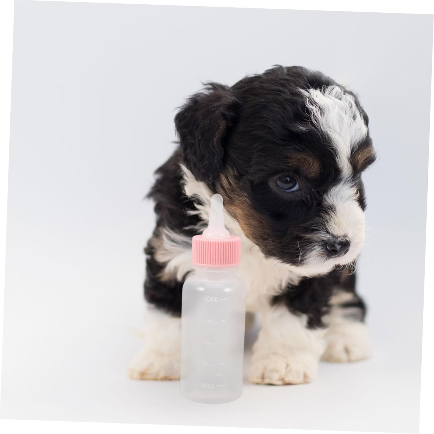 Toyvian 3Pcs Small Pet Feeding Bottles for Newborn Puppies and Kittens Portable Dispenser Kit with Silicone Tips Sturdy and Lightweight Design for Easy Feeding - Image 4