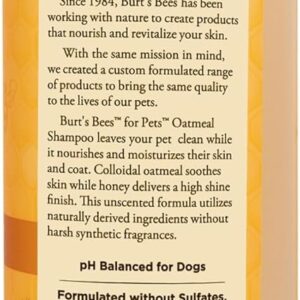 Burt’s Bees for Pets Oatmeal Shampoo for Dogs with Colloidal Oat Flour and Honey – Skin Soothing Dog Oatmeal Shampoo, Moisturizing Dog Wash for Itchy Dry Skin, Essential Grooming Supplies, 16 Fl Oz