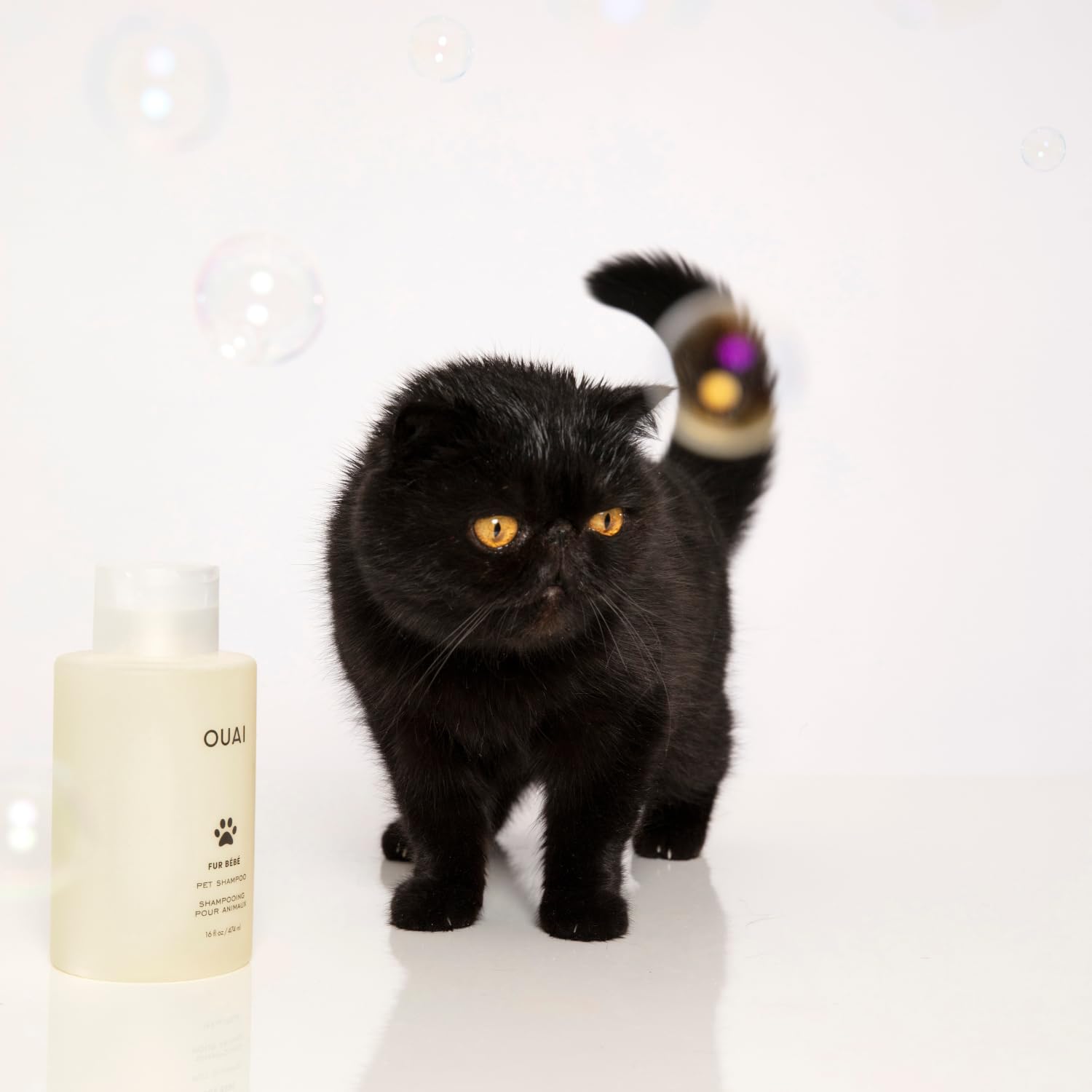 OUAI Fur Bébé Pet Shampoo, Mercer Street Scent - Dog Shampoo and Coat Wash for Hydrating, Cleansing and Adding Shine - Pet Supplies by OUAI (16 Fl Oz) - Image 8