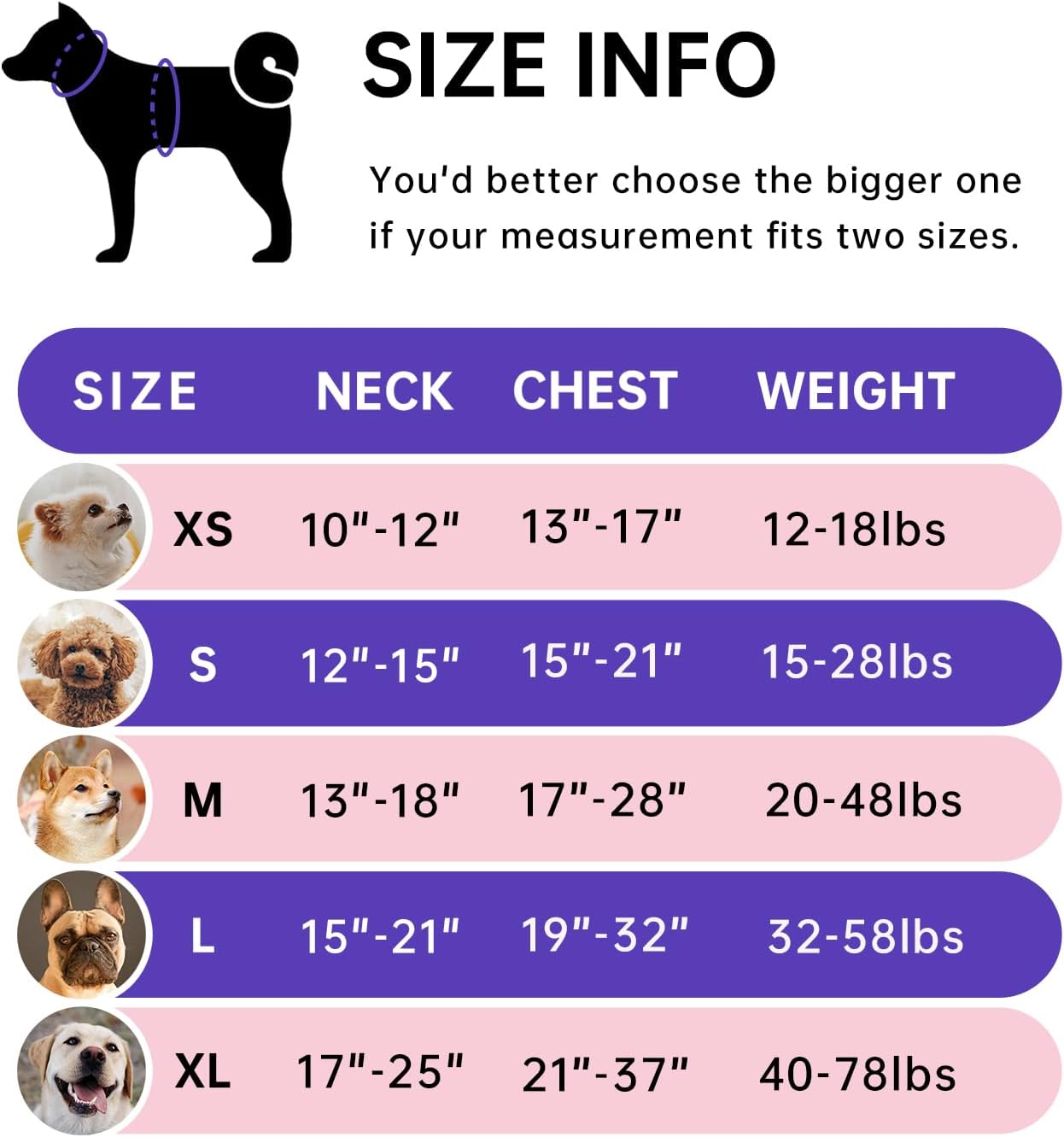 IVY&LANE No Pull Dog Harness for Medium Dogs, Dog Vest Harness with Leash, Safety Belt and Storage Strap, Fully Adjustable Harness, 360° Reflective Strip, Soft Handle (Purple, M) - Image 2