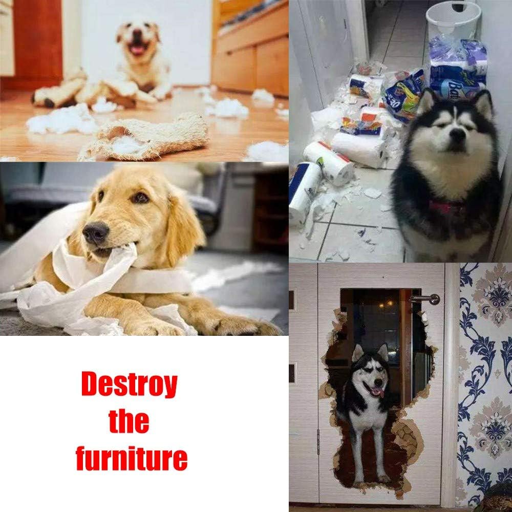 AWOOF Pet Snuffle Mat for Dogs, Interactive Feed Game for Boredom, Encourages Natural Foraging Skills for Cats Dogs Bowl Travel Use, Dog Treat Dispenser Indoor Outdoor Stress Relief - Image 4