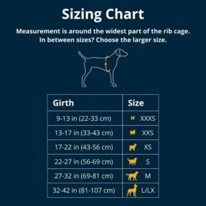 Ruffwear, Hi & Light, Everyday Lightweight Dog Harness, Trail Running, Walking, Hiking, All-Day Wear, Basalt Gray, Medium