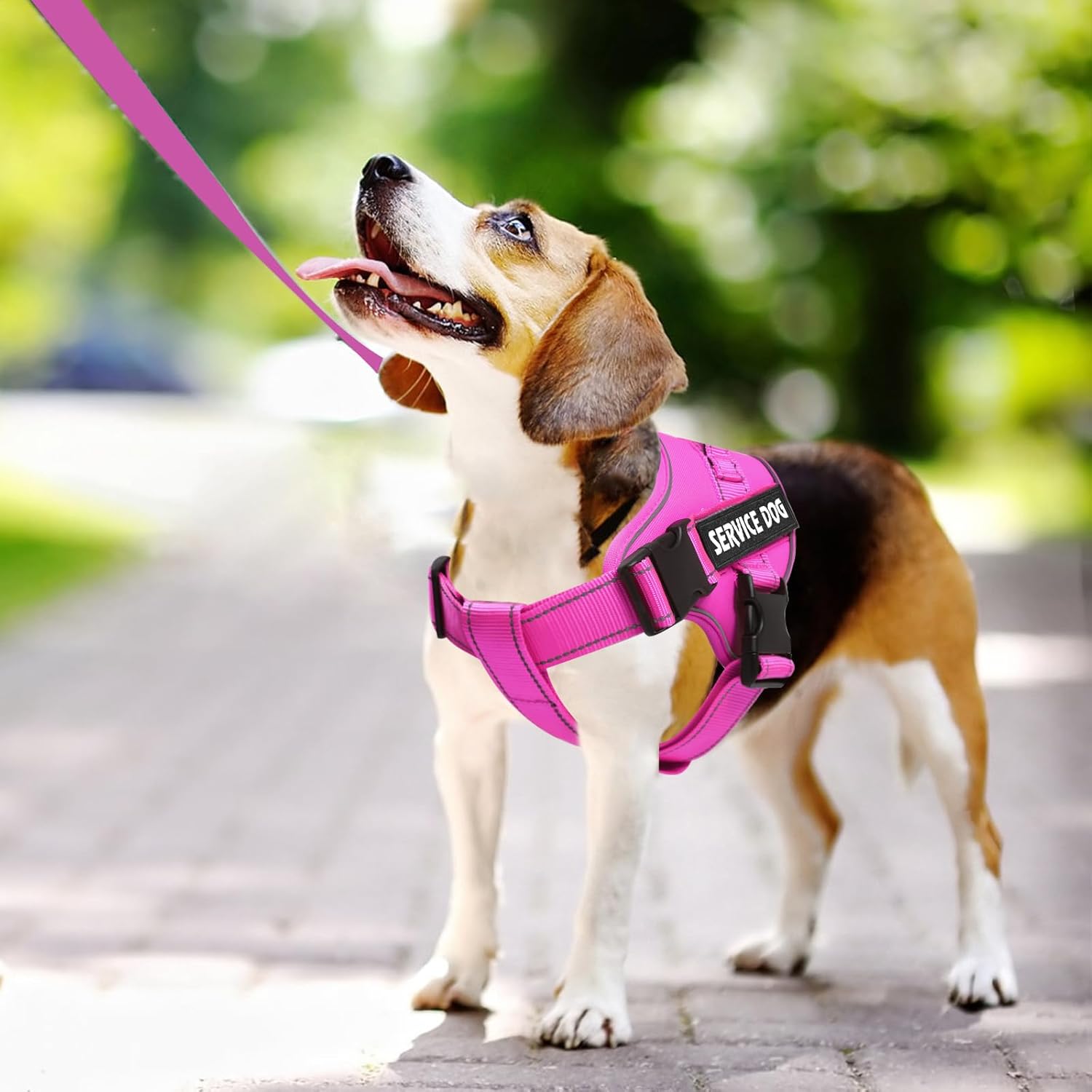 voopet Service Dog Harness, Emotional Support Pet Vest Harness, Reflective Breathable and Adjustable No-Pull ESA Dog Harness for Small Medium Large Dogs (with 4 PCS Removeable Tags) - Image 3