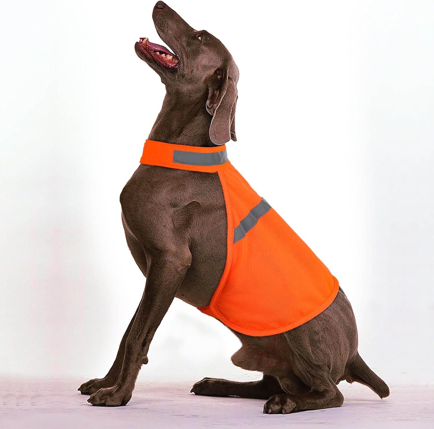 Dog Jacket High Visibility Safety Reflective Dog Vest for Small Medium Large Dogs (Large, Orange) - Image 4