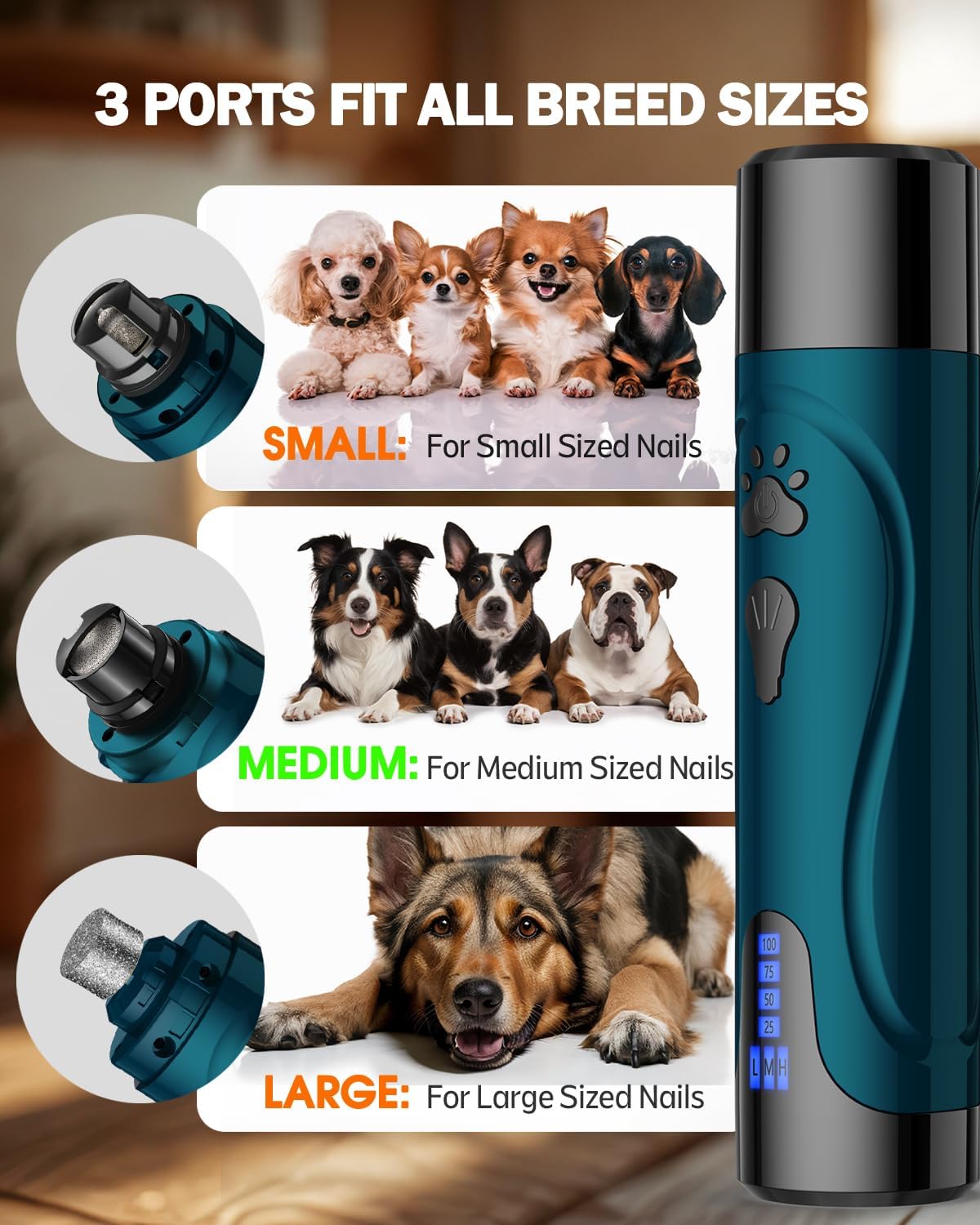 Dog Nail Trimmers and Dog Nail Clippers Kit, Whisper Quiet Electric Grinder with Light, for Small, Medium, Large Dogs, Cats Toenail Grooming, 3 Speeds - Image 7