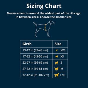 Ruffwear, Web Master, Multi-Use Support Dog Harness, Hiking and Trail Running, Service and Working, Everyday Wear, River Rock Green, Large/X-Large