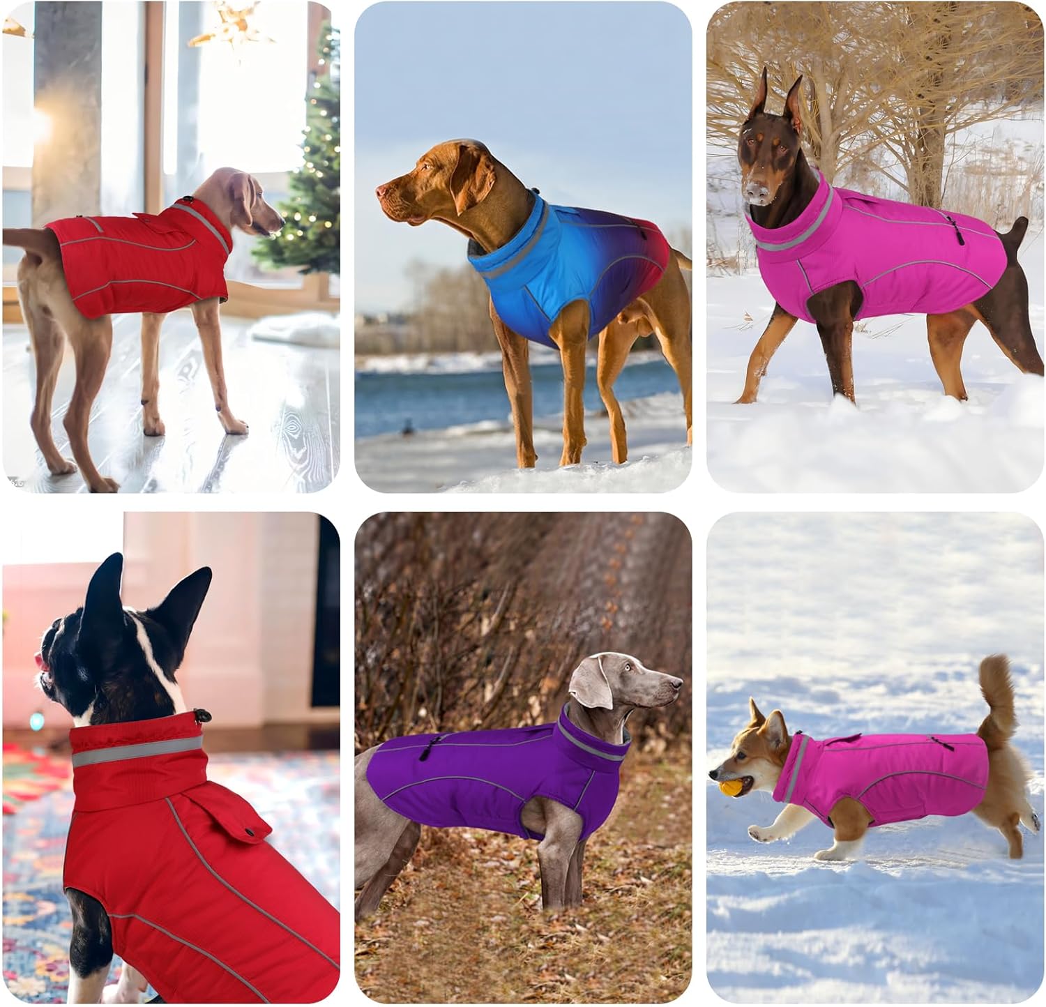 Doglay Dog Coats - Waterproof Winter Jacket with Pocket, Reflective Turtleneck, Warm & Adjustable for Small to Large Dogs - Image 4