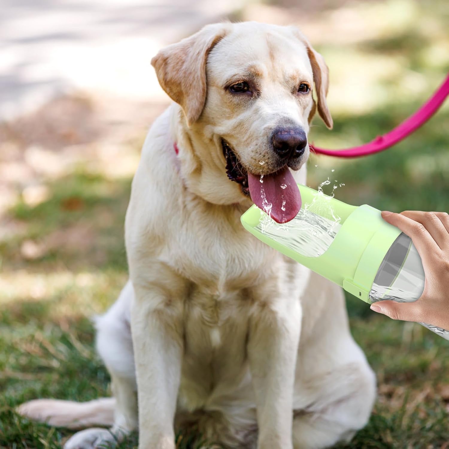 Dog Water Bottle Portable - Foldable Travel Water with Food Container, Leak Proof and Lightweight Water Bottle for Dogs,Dog Stuff Accessories Items,Lightweight & Convenient for Outdoor (Green, Small) - Image 5