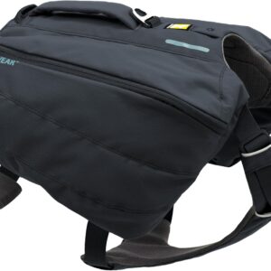 Ruffwear, Front Range Dog Day Pack, Backpack with Handle for Hikes & Day Trips, Basalt Gray, Large/X-Large