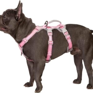 Escape Proof Dog Harness, Escape Artist Harness, Fully Reflective Harness with Padded Handle, Breathable,Durable, Adjustable Vest for Medium Dogs Walking, Training, and Running Gear (Pink,M)