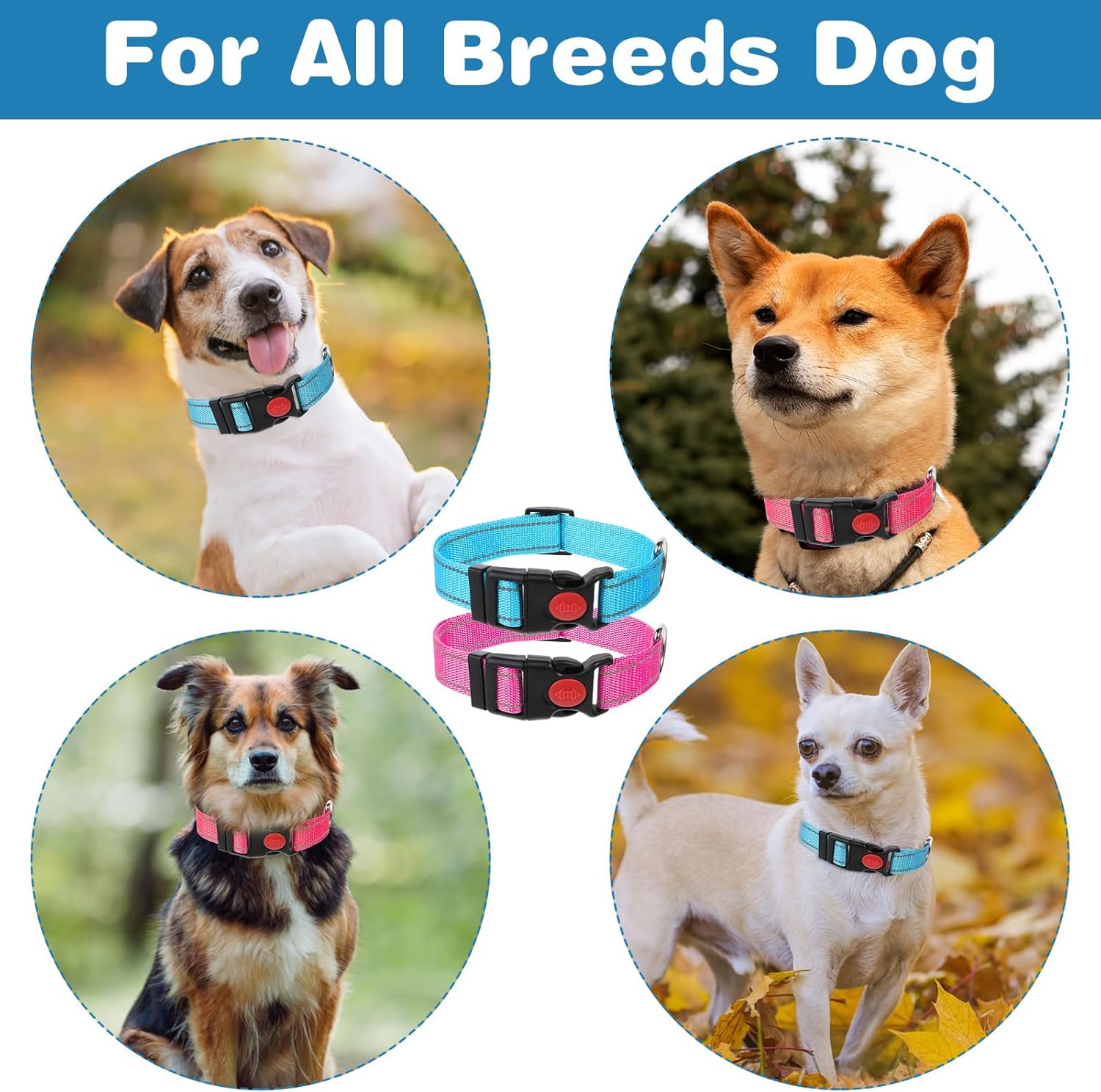 2 Pack Reflective Dog Collars Adjustable Safety Pet Collar with Locking Buckle for Small Medium Large Dogs Cats Visibility Night Walking Gear for Hiking Jogging Camping Outdoor Adventures - Image 3