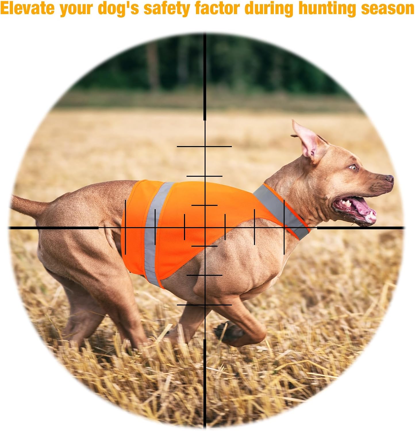 2-Piece Reflective Vest for Dogs - Bright Orange, Soft, Adjustable, High Visibility Dog Safety Vest for Hunting & Outdoor Walking - Image 3