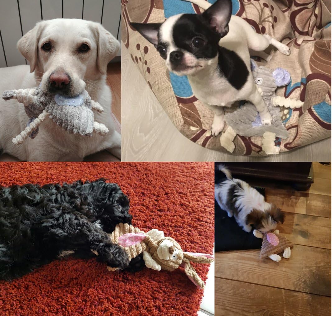 Comtim No Stuffing Dog Toys with Squeaker, Durable Dog Chew Toys, Small Dogs & Puppies, Rabbit & Elephant - Image 2
