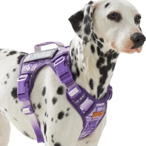 Service Dog Vest Harness with 2 Velcro Patches, No Pull Dog Harness for Walking Training Hiking, Metal D-Rings Easy on/Off Neck Buckle Reflective Strips Soft Padded Handle, Purple