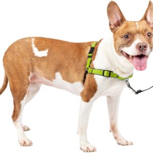 PetSafe Easy Walk Deluxe Dog Harness, No Pull Dog Harness – Perfect for Leash & Harness Training – Stops Pets from Pulling and Choking on Walks – Medium, Apple
