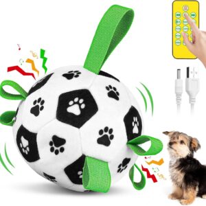 QDAN Interactive Dog Toys Balls: Automatic Rolling Dog Toys to Keep Them Busy, Remote Control, Rechargeable Pet Enrichment Toy for Boredom, Squeaky Puppy Toy for Small Medium