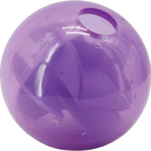 Outward Hound by Planet Dog Mazee Puzzle Ball Interactive Treat Dispensing Dog Toy, Purple