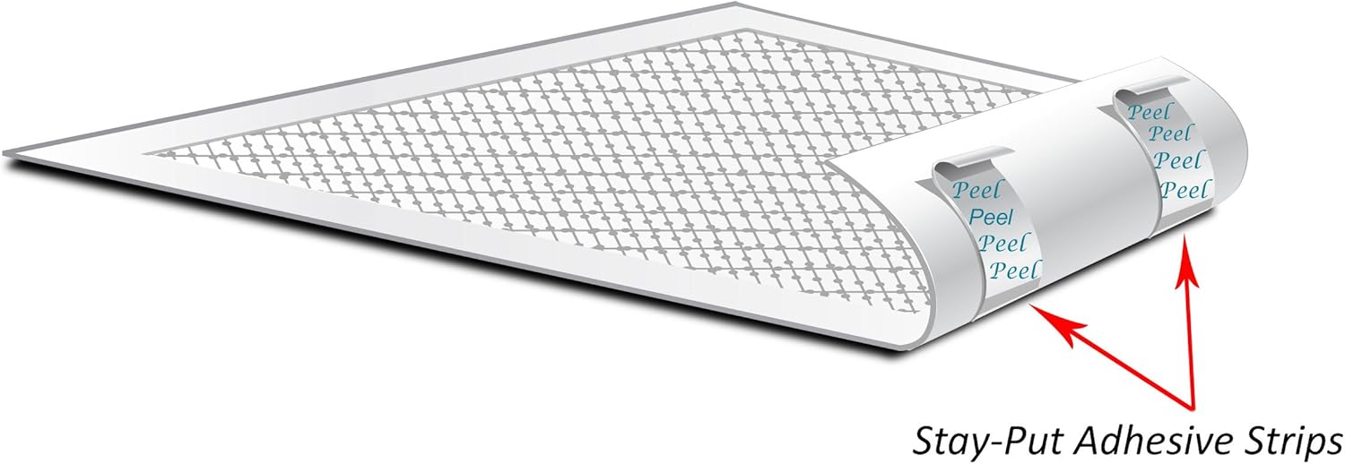 Complete - MD Deluxe Pet Airline Travel Kit with Pad, Dishes, Live Animal Labels, Water Funnel, Metal Nut Bolts, Name tag, Travel Document Holder - Image 2