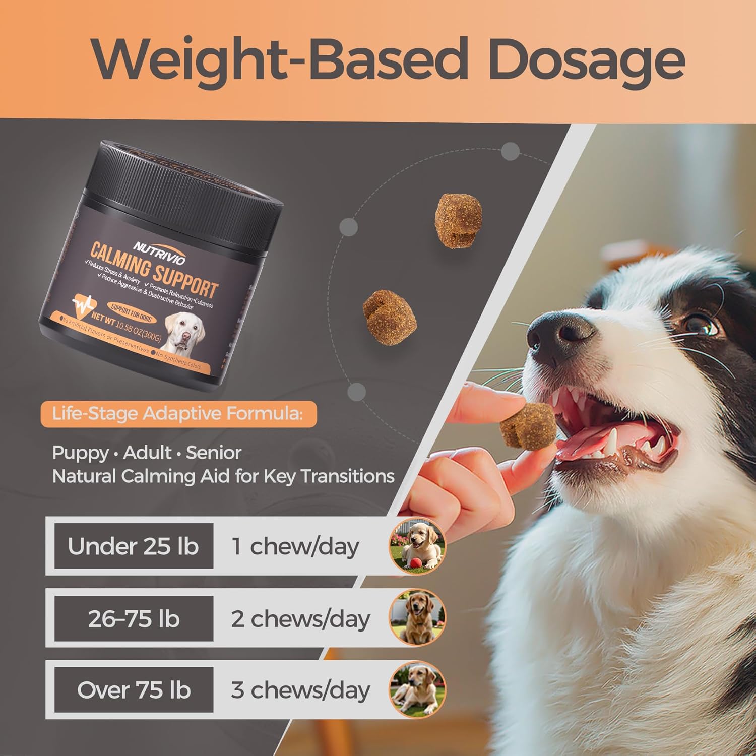 Calming Chews for Dogs with Melatonin, Chamomile & L-Theanine - Promotes Relaxation, Reduces Stress Anxiety, Motion Sickness Relief - Tasty Soft Chews in Natural Chicken Flavor-300g - Image 6