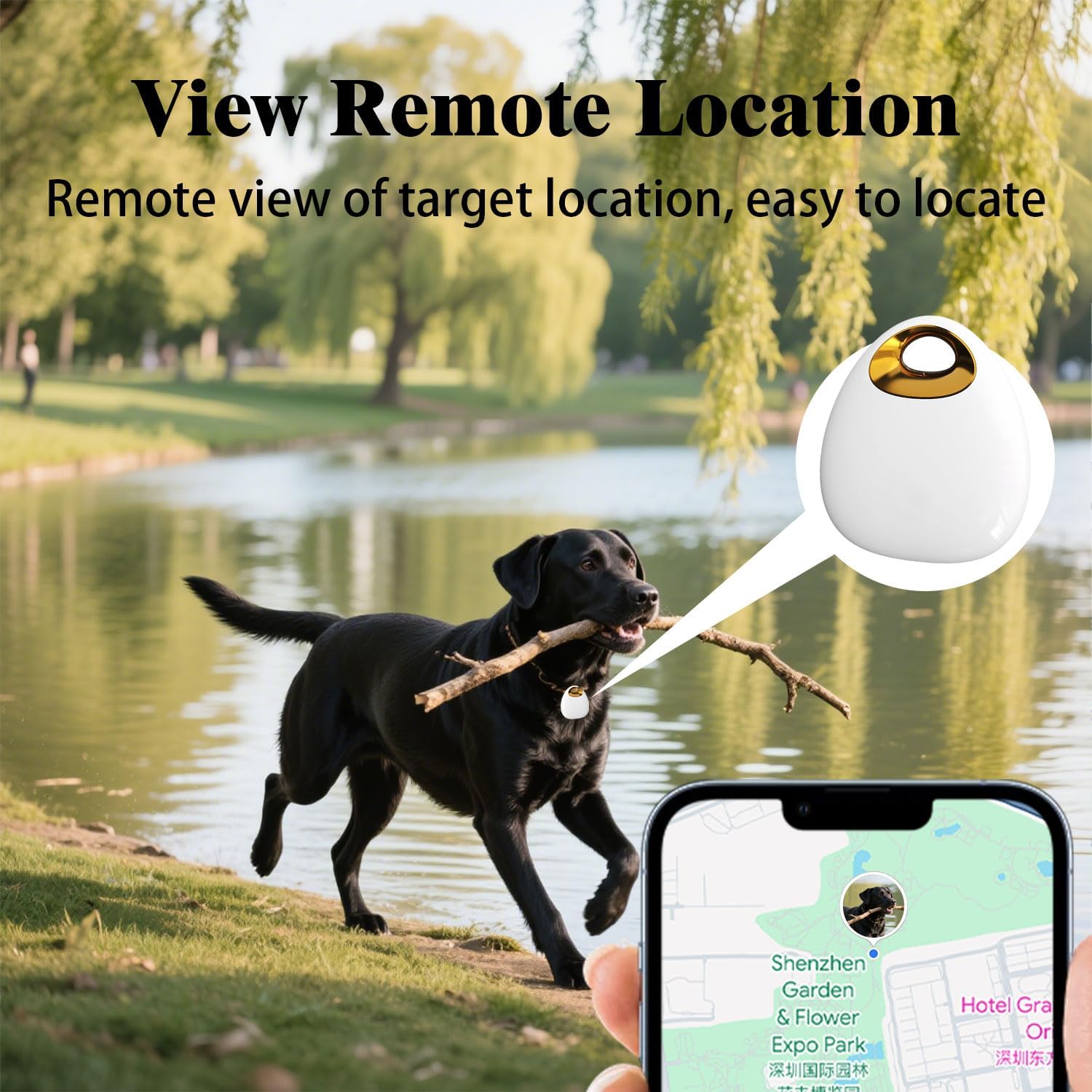 GPS Tracker for Dogs & Cats – Waterproof, Lightweight, Mini Real-Time Pet Locator with 1-Year Battery, No Subscription or SIM Required, Track History, iOS & Android Compatible - Image 4