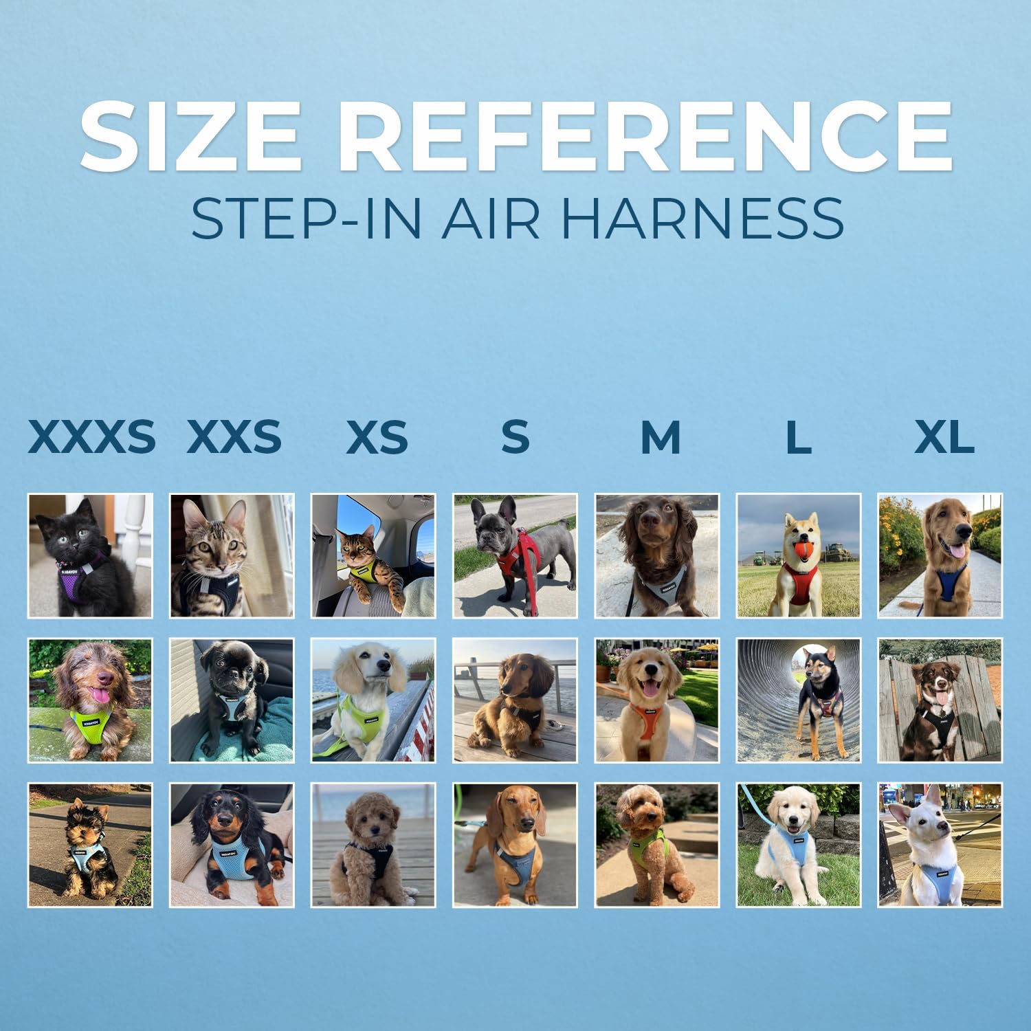 Voyager Step-In Air Dog Harness - All Weather Mesh, Reflective, No Pull Harness for Small, Medium Dogs, Cats - Secure with Hook & Loop Fastener, Buckle, Double D-Rings - Black/Black Trim, S - Image 6