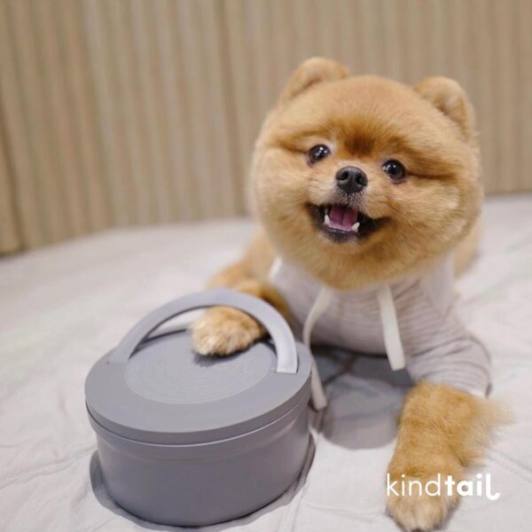 KindTail Portable Pet Feeder, Travel Dog Bowls with Lid and Handle, Microwave and Dishwasher-Safe, 10oz Inner Bowl & 20oz Outer Bowl, Grey - Image 9