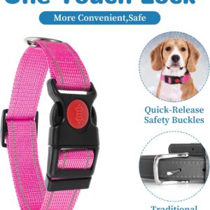 2 Pack Reflective Dog Collars Adjustable Safety Pet Collar with Locking Buckle for Small Medium Large Dogs Cats Visibility Night Walking Gear for Hiking Jogging Camping Outdoor Adventures