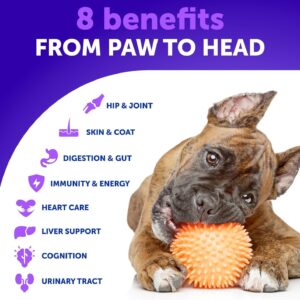 20 in 1 Dog Multivitamin with Glucosamine – Chewable Dog Vitamins and Supplements – Senior & Puppy Multivitamin Chews for Pet Hip & Joint Support, Immunity, Mobility, Skin, Digestion – 70 Soft Treats